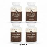 4 Pack Lion's Mane