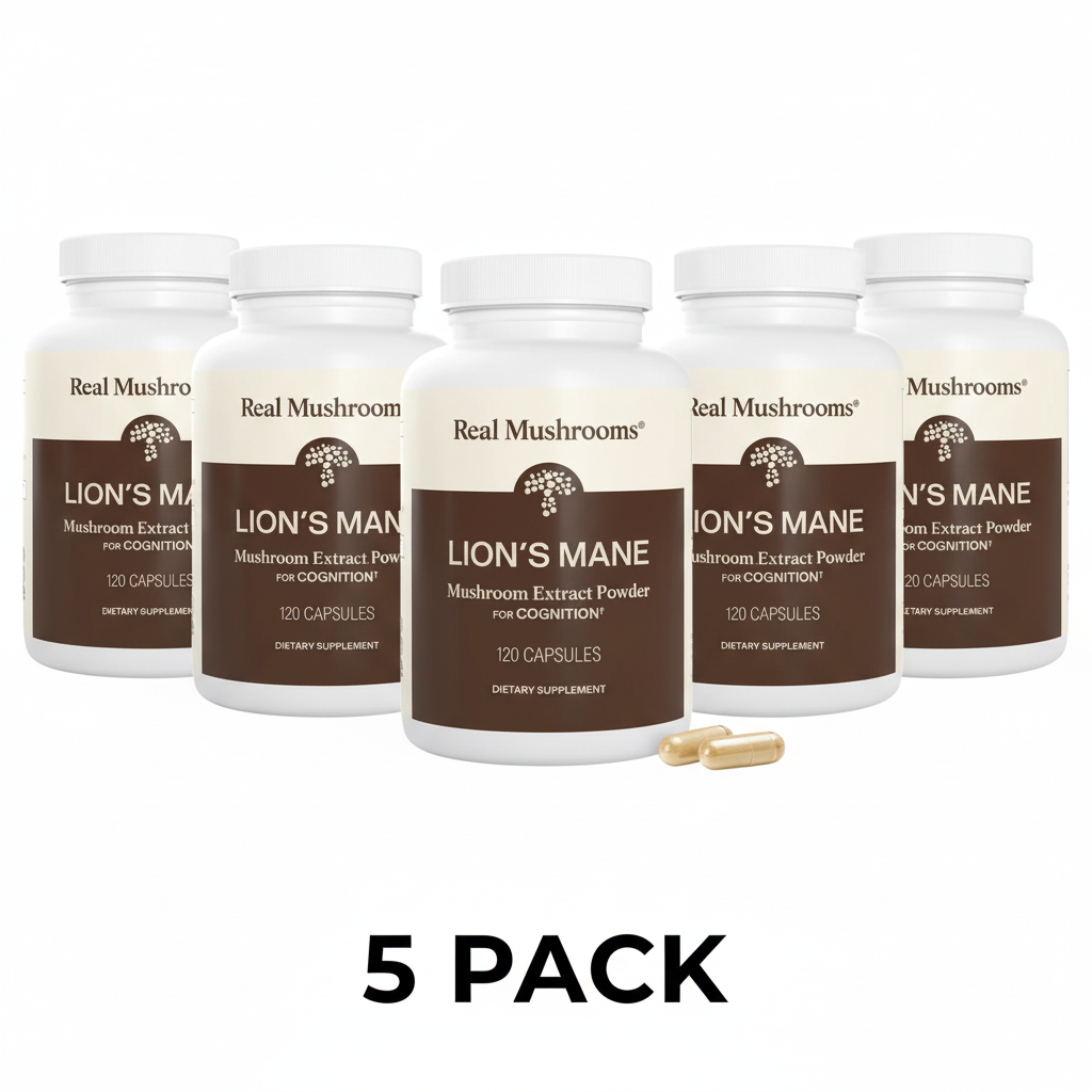5 Pack Lion's Mane