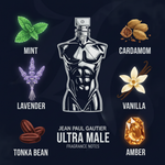 Infographic